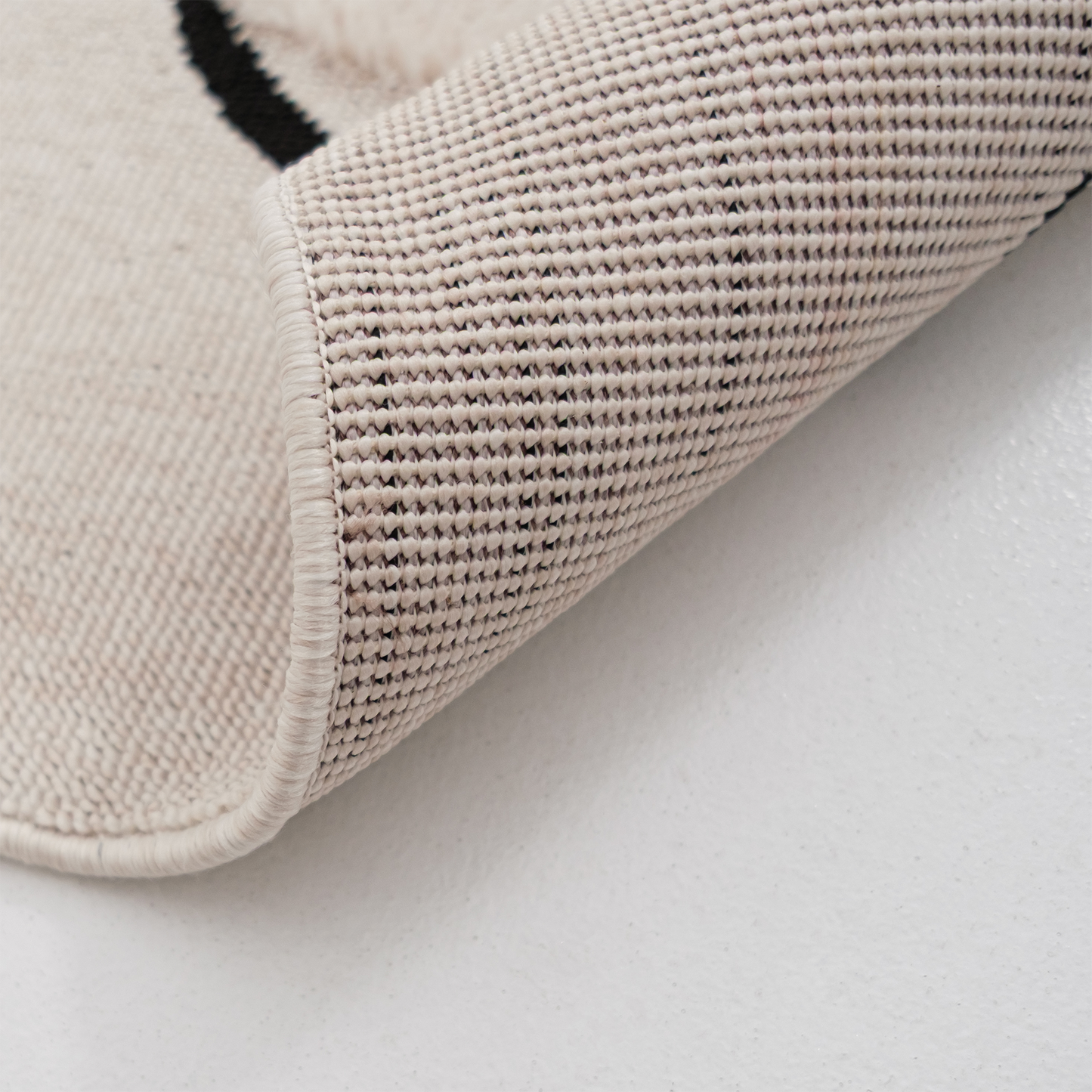 書房裡的兔博士(長)