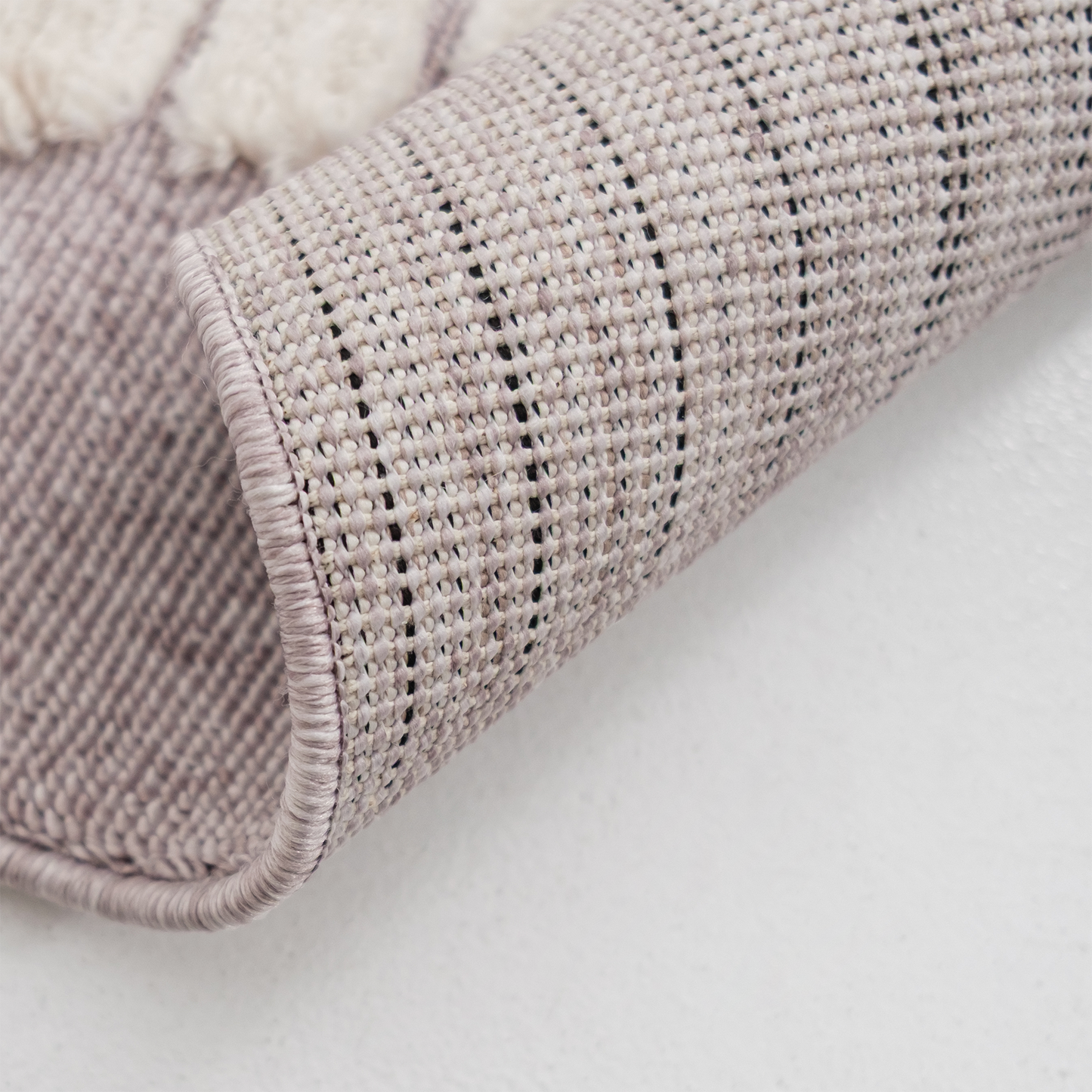 午睡的獅子王(長)