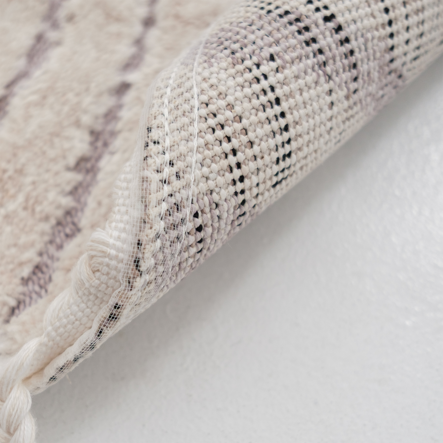 午睡的獅子王(圓)