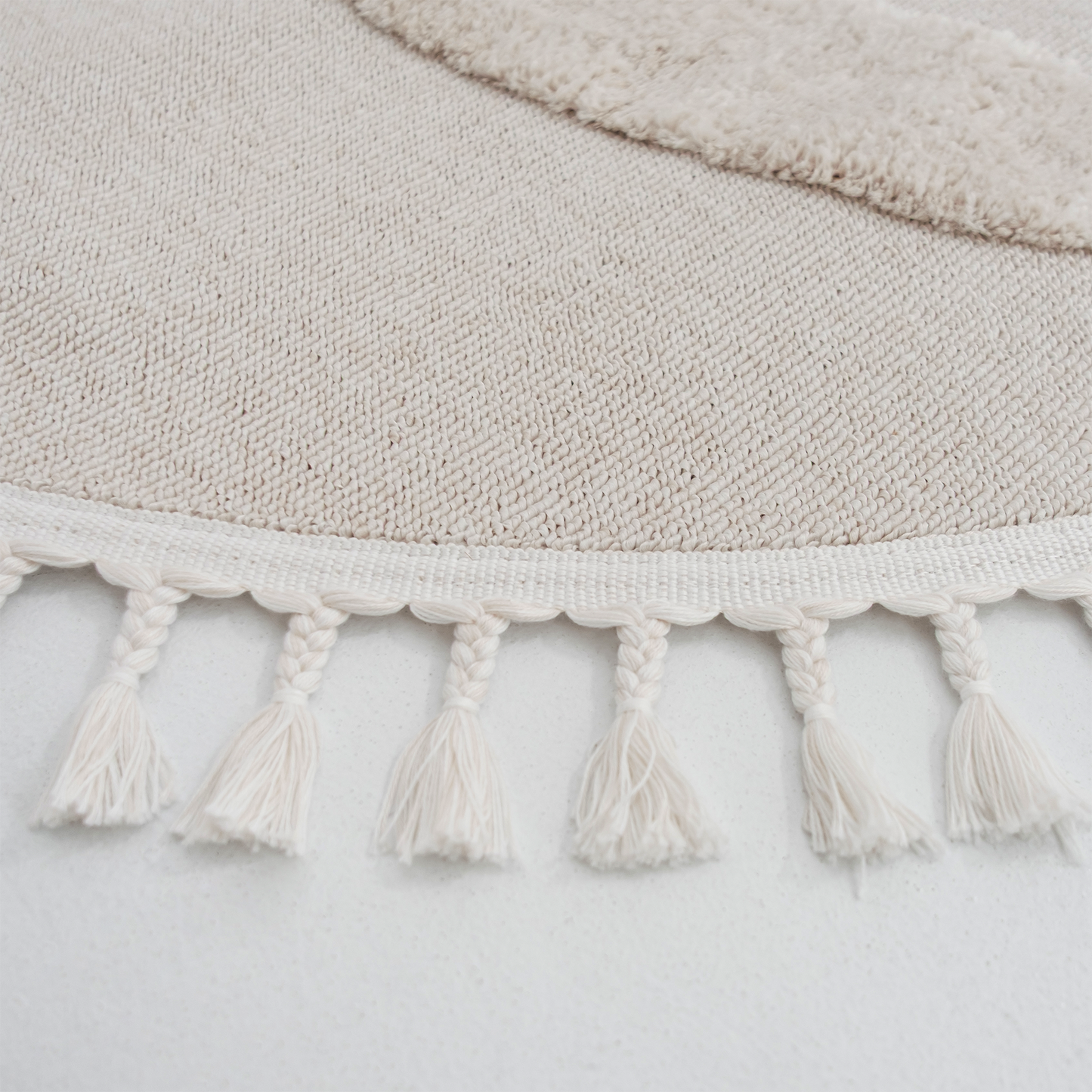 書房裡的兔博士(圓)