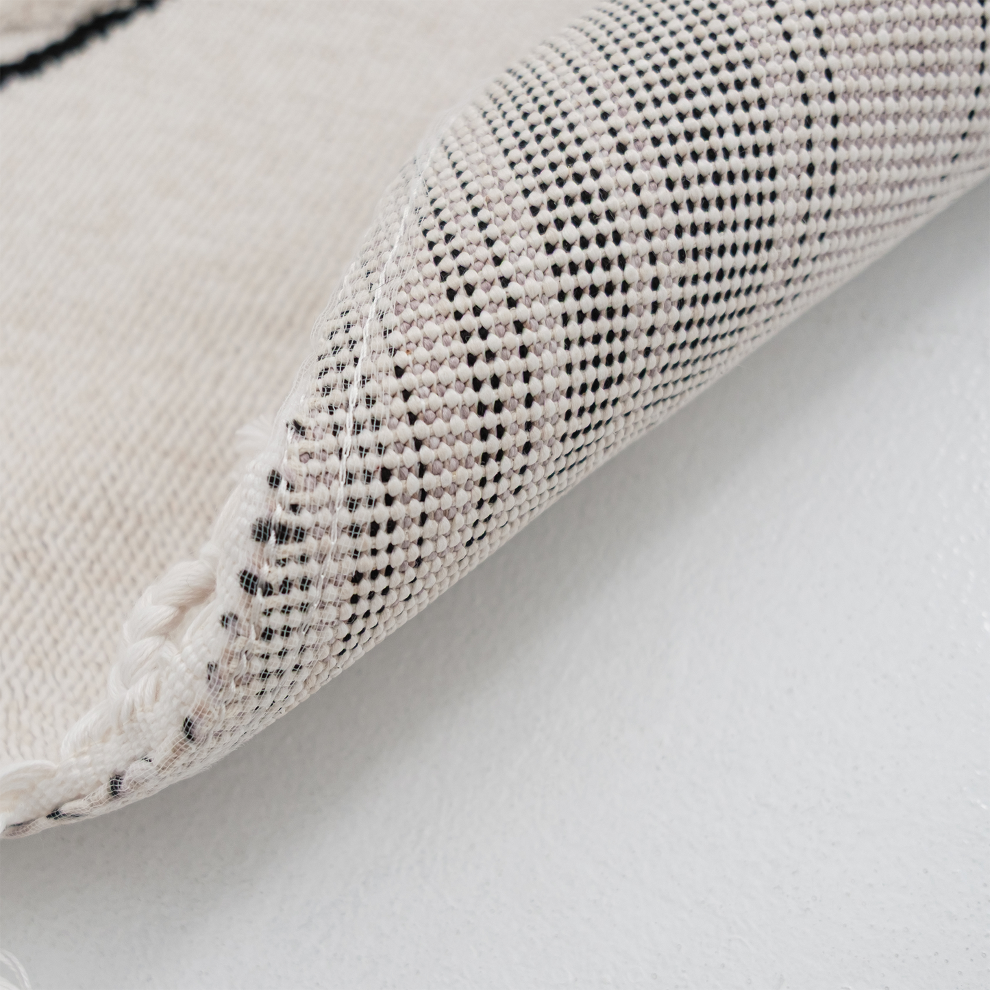 書房裡的兔博士(圓)