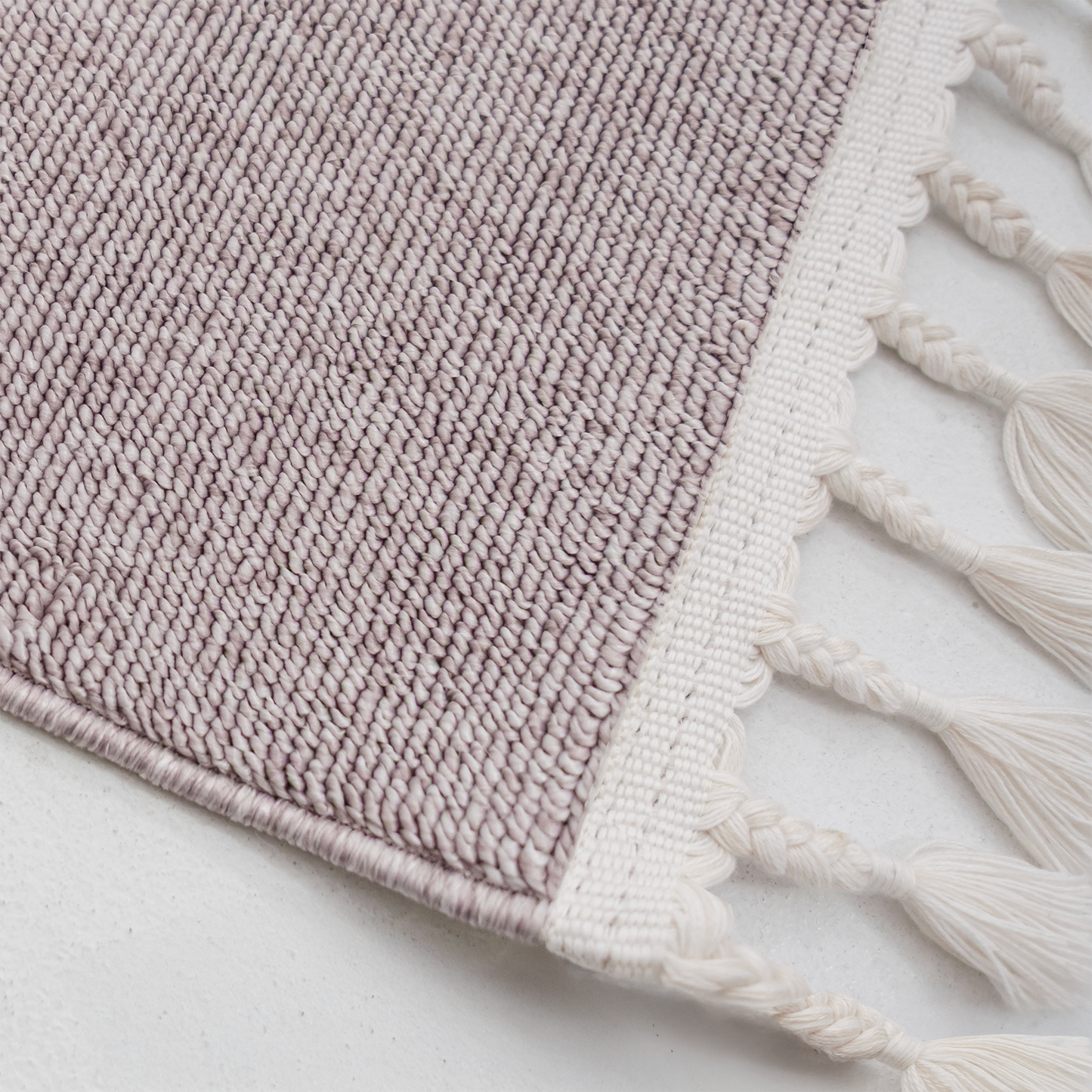 午睡的獅子王(長)